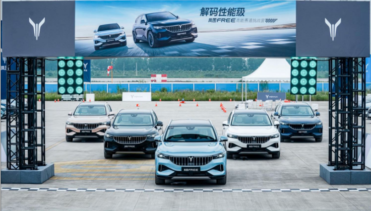 嵐圖汽車 嵐圖汽車